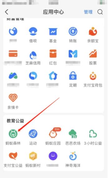 支付宝支付功能在哪里开