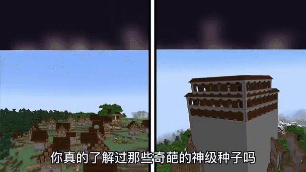 mc我的世界种子大全