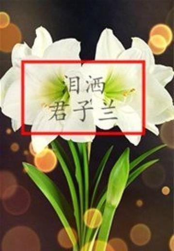 君子兰app小说