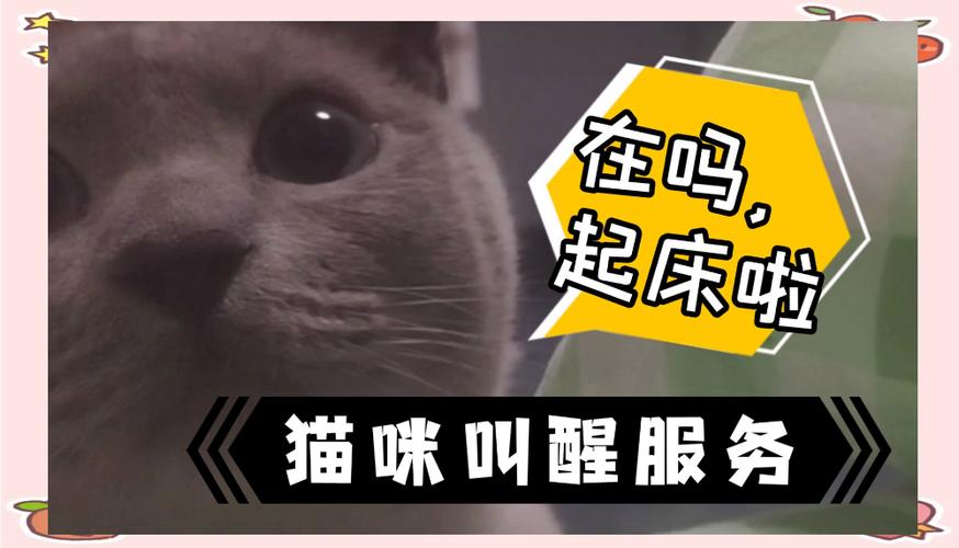 定7点50的闹钟 定7点50的闹钟