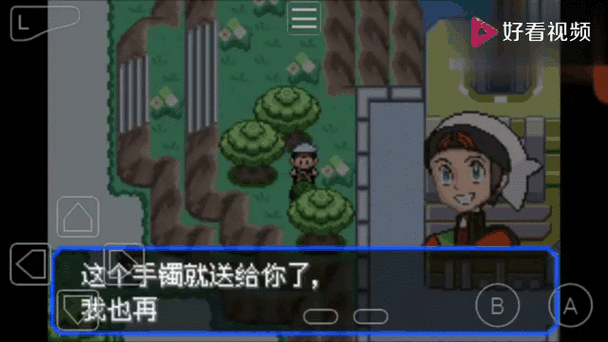 口袋妖怪阿洛视频截图3