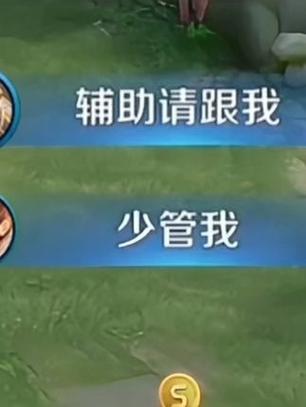 王者荣耀非常规辅助