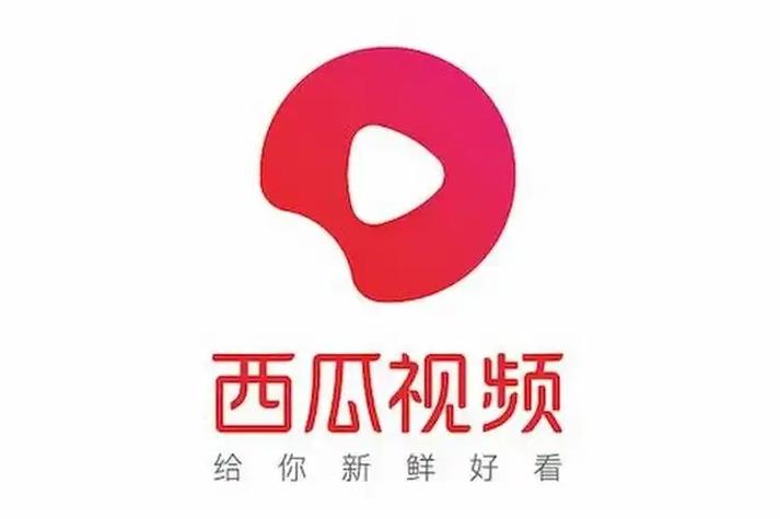 西瓜视频极速版下载截图2