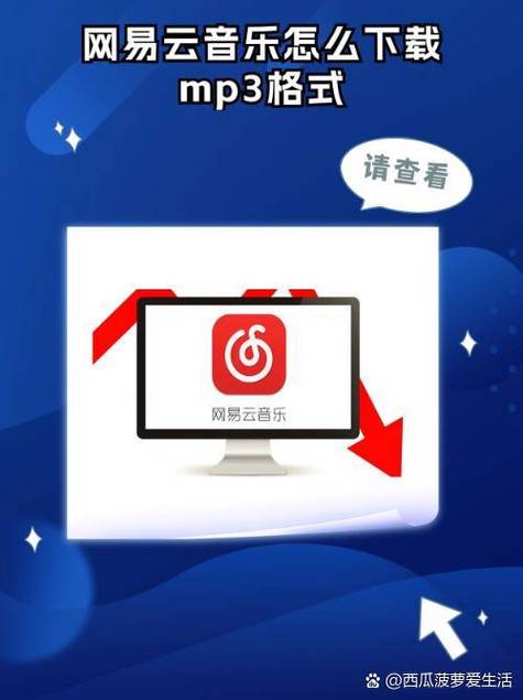 白色风车mp3免费下载