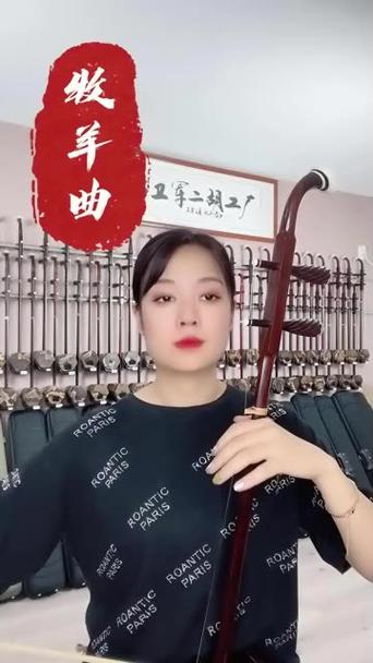 二胡独奏《牧羊曲》