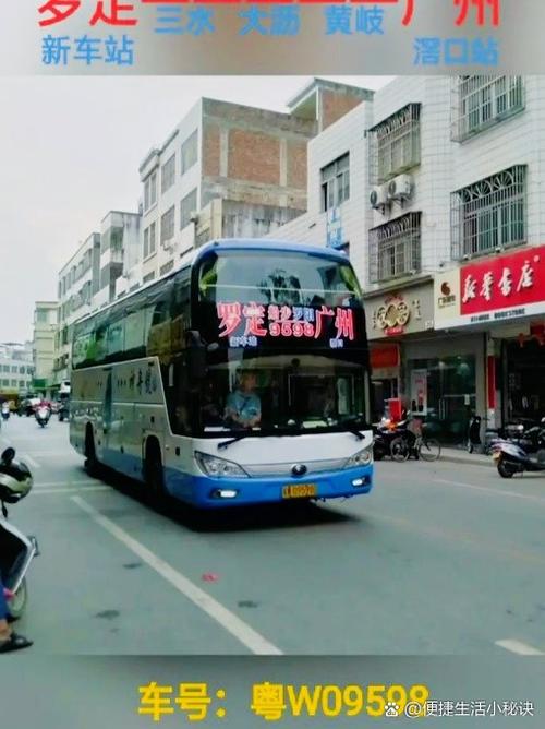 罗定粤出行查询