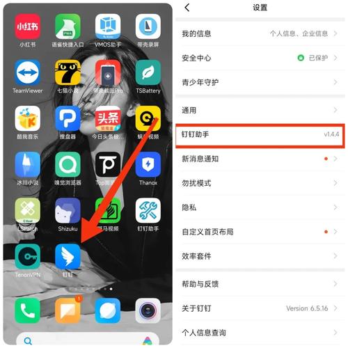 阿呆9.0防闪框架免root截图1