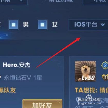 王者荣耀可以看到微信好友吗截图2
