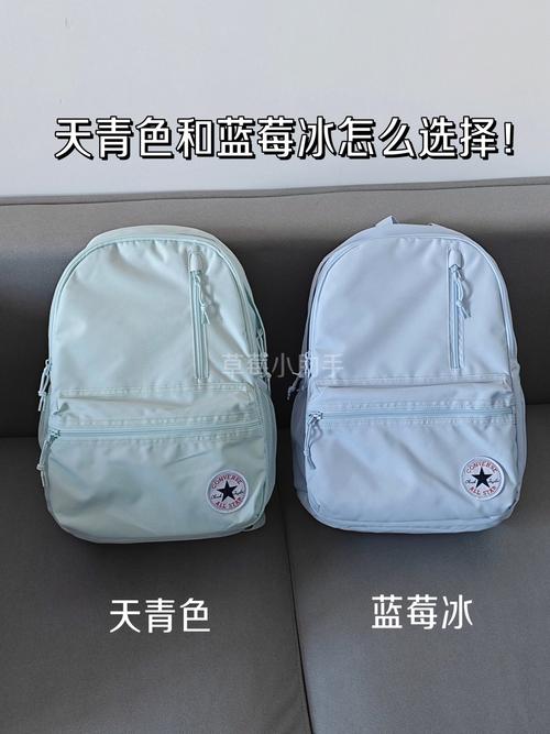 冰美人书包网