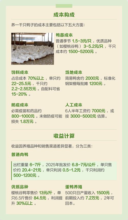 养100只鸭子利润截图3
