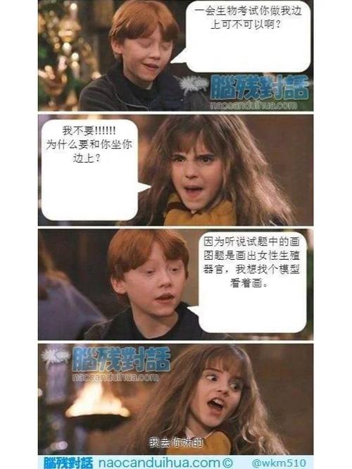 pottermoer官网入口最新版本更新内容