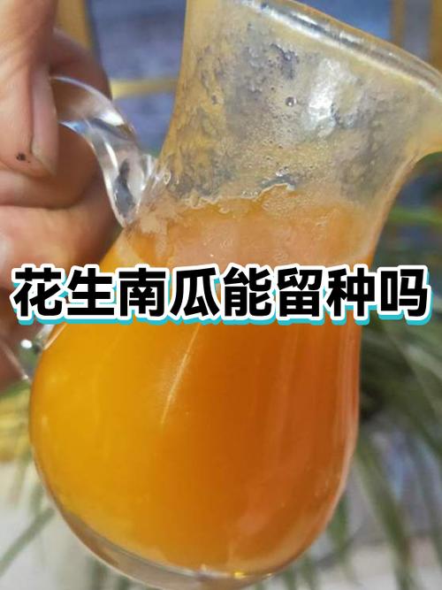 南瓜可以自己留种吗截图1