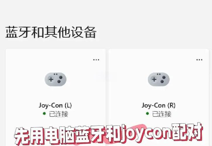 joycon使用教程