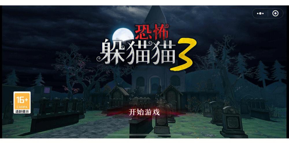 恐怖躲猫猫33D版本截图2