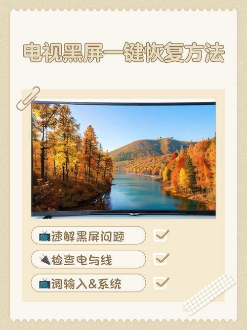 手机拍照黑屏是怎么回事