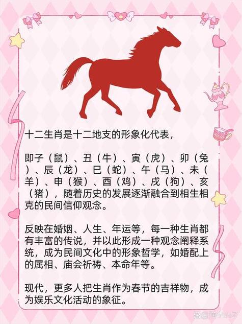 马戏团开过什么生肖