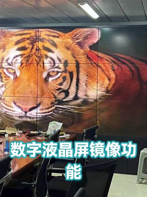 相机镜像模式怎么设置