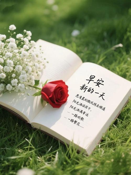 每天发一条朋友圈