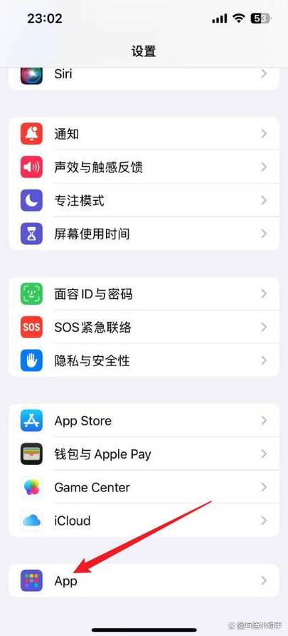 王者荣耀声音权限怎么设置苹果截图2