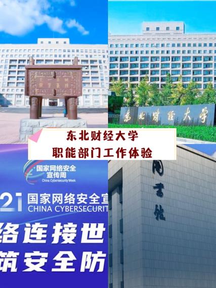 东北财经大学教务处电话