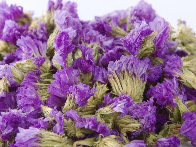 紫色的花茶有哪些