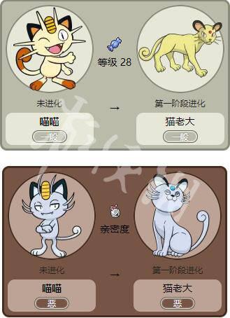 喵喵进化顺序图