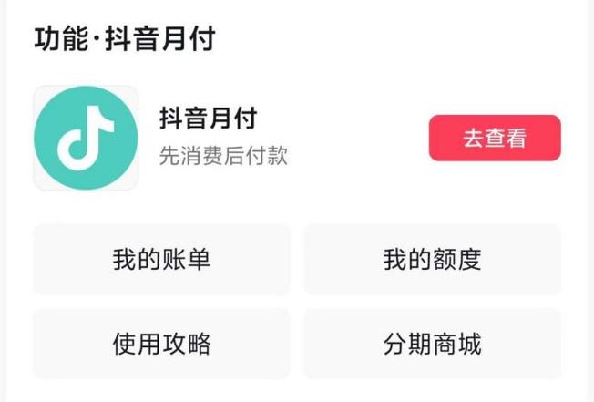 抖音月付初始额度截图2