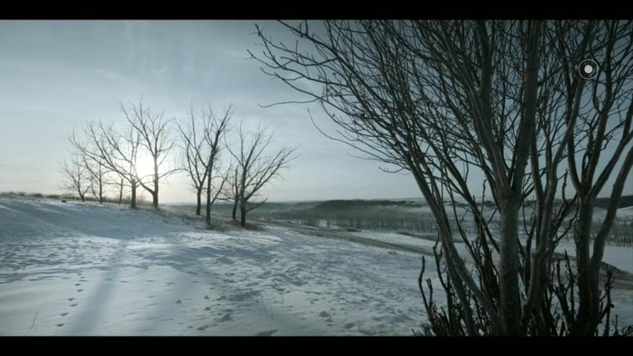 《雪地》丧尸片