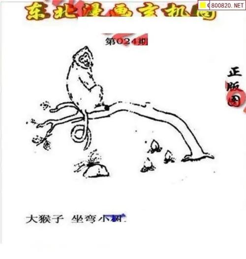 3d字谜总汇图谜总汇