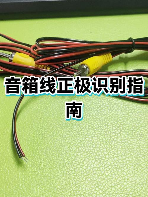 音箱线黑白色是正极吗