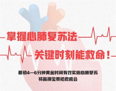 触控板失灵的常见问题