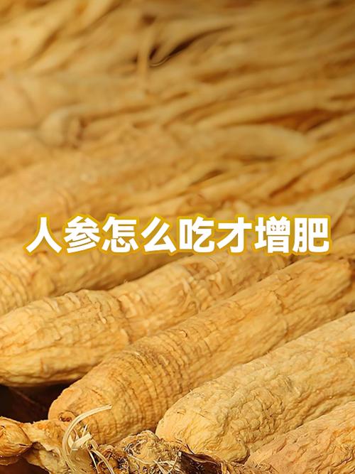 增肥增重吃什么截图2
