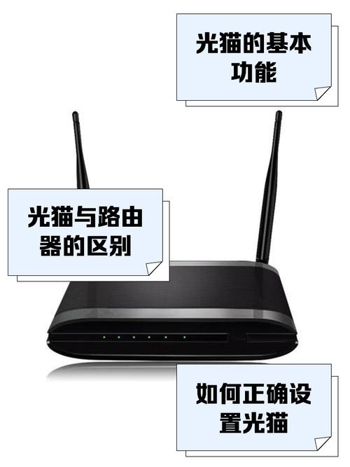 网线猫多少钱
