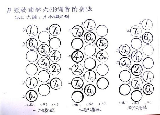 巴扬手风琴右手音位图截图2