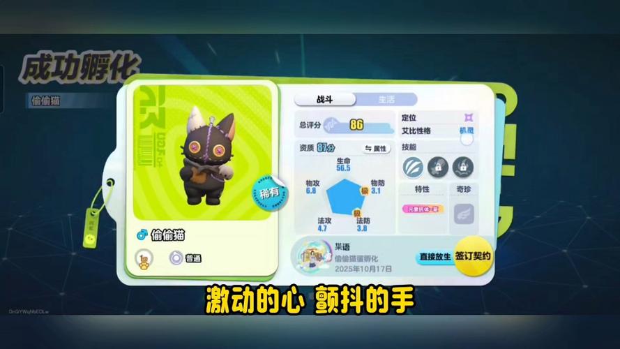 艾比最稀有一只小猫 艾比最稀有一只小猫