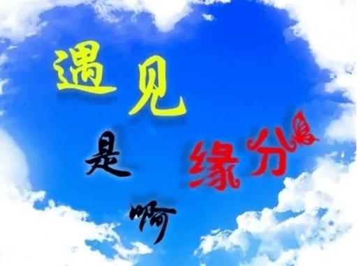 相遇即是缘分,相识便是幸运