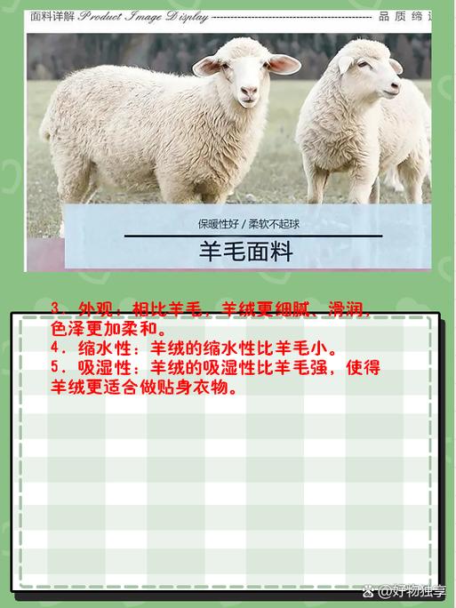 全世界最好的羊毛产地
