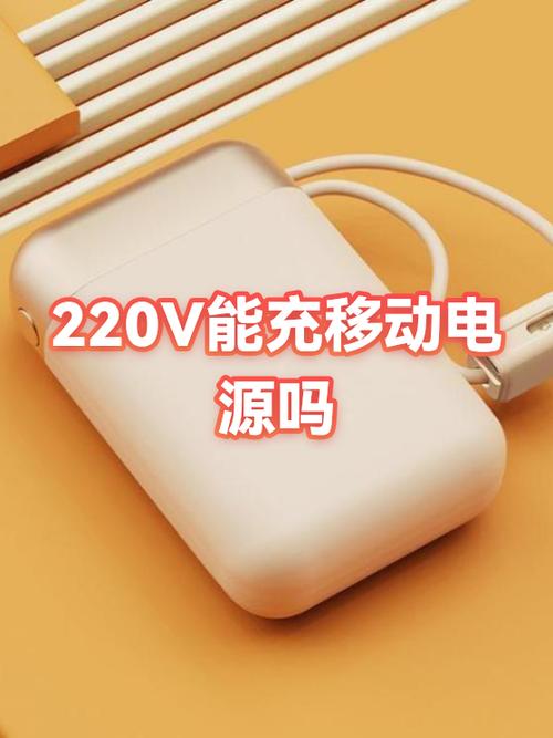 用两个充电器充一个充电宝可以吗