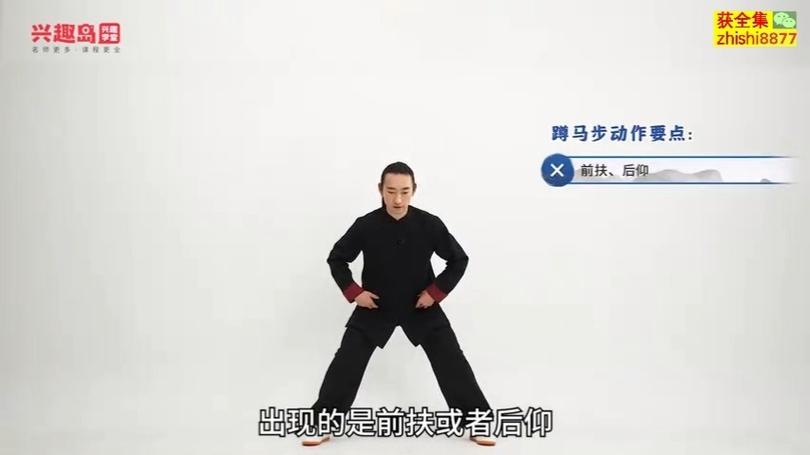 李在峰太极教学全集