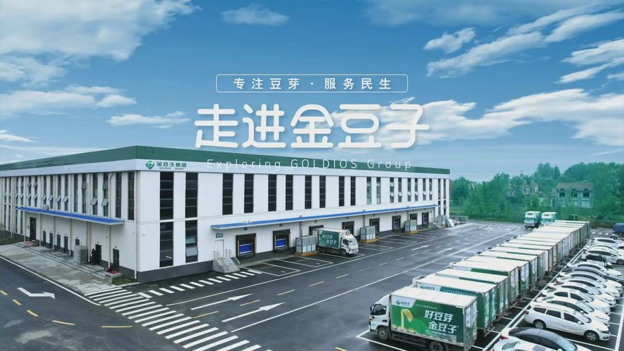 河南金豆子集团官网