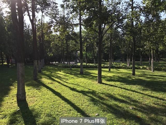 苹果8拍照效果怎么样
