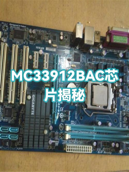 BAC芯最新准确消息