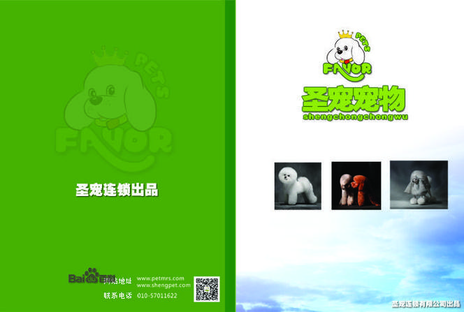 狗狗书籍电子书 狗狗书籍电子书