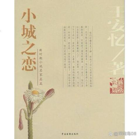 何小城故事小说免费阅读截图2