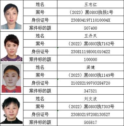 老赖名单查询官网