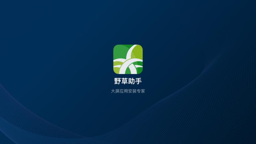 野草助手电视TV版截图3