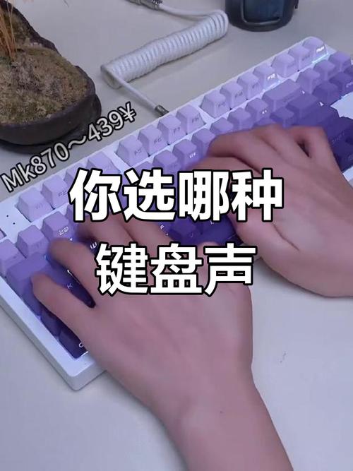 键盘按键叮叮响打不出字
