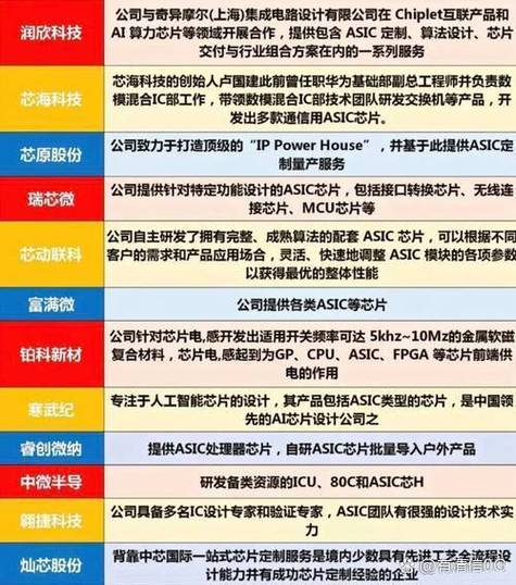 中国asic芯片龙头