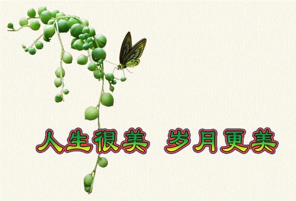 黄山我永远的爱恋歌曲截图3