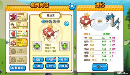 口袋妖怪绿宝石鲤鱼王性格和特性
